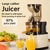 300W High Power Household Electric Fruit Juicer Large Caliber Fruit Extractor Blender Slow Chewing Cold Press Juicer