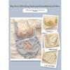 Shaping Lace Soft Underwire Bra, Sponge-Free Thin Cup Bust Minimizer Side Gathering Anti-Sag Full Bust Women Bra