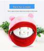 Musical Seaweed Bouncing Ball: Talking Pig, Rabbit, Dog Plush Toy for Kids