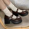 Fashionable Thick Soled Leather Shoes with Increased Height 2026 Summer and Autumn Dopamine Single Shoes