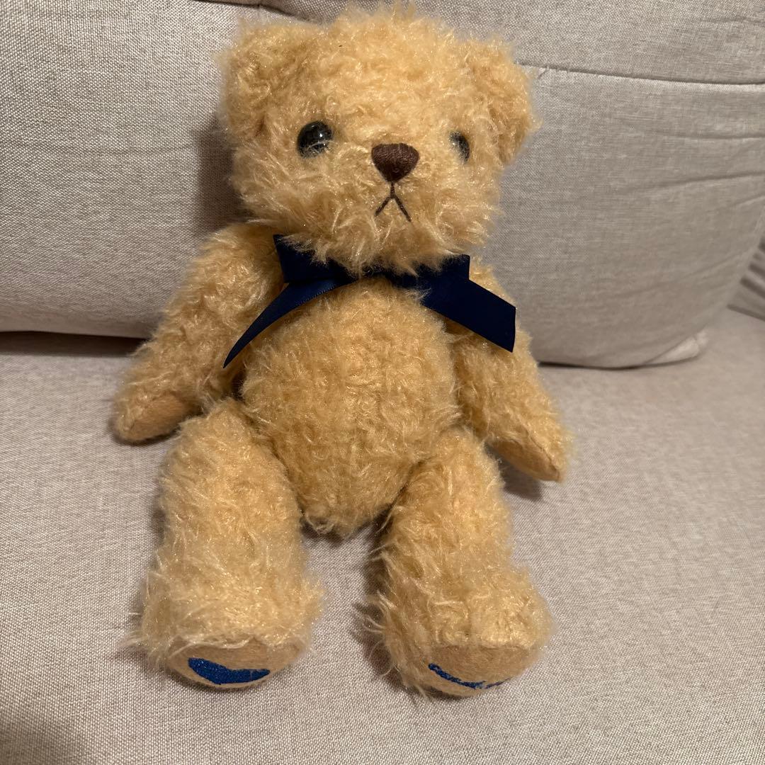 [canal 4] Beige teddy bear with ribbon