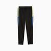 Puma INDIVIDUALLIGA TRAINING men's sweatpants black 65951702 r S