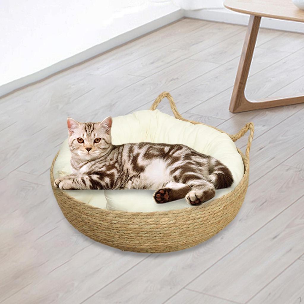 Lounge Bed with Interchangeable Cushion for Small Pets