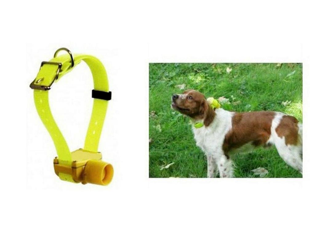 2025 Electronic Dog Trainer and Tracker Collar with Beeper for Pet Training and Hunting.