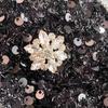 Summer Women Sweet Peter Pan Collar Black Sequined Diamonds Button Mini Short Fairy Princess Party Dresses
