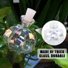 4pcs Self Watering Planter Insert Plant Watering Devices Plant Watering Bulbs Plant Watering Globes Rainbow Colors Cactus Shape Self Watering Globes