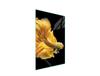 GLASS CUTTING BOARD 35x52 Fish