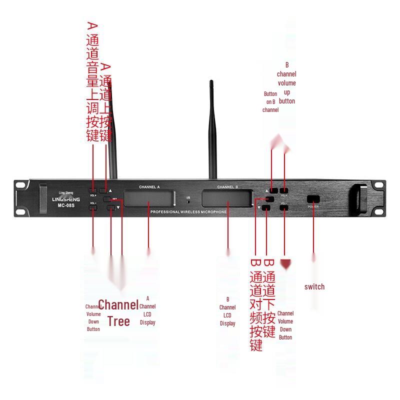 LINGSHENG Home Karaoke System with Speakers