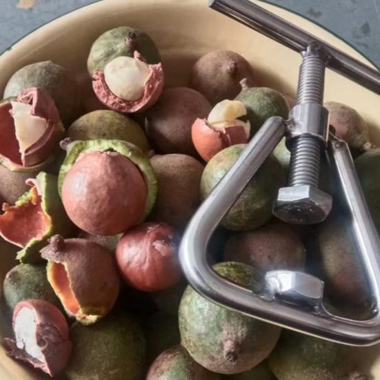 Nötkrossare Nöt Stål Multifunktionell Kastanjtång Valnötsöppnare Skalare Kompakt Rostfritt Stål Rostskyddad Lätt att Rengöra Kök