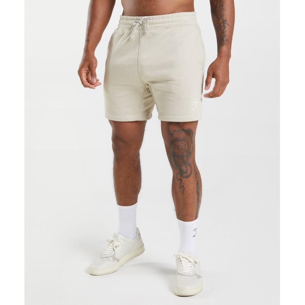 

GYMSHARK Crest Shorts Pebble Grey A2A1S GBC0