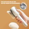 Cat Steam Brush for Shedding Spray Pet Grooming Brush with Release Button Steamy Pet Hair Removal Comb for Long Short Haired Cats Dogs
