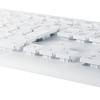 ELECOM Washable Wireless Keyboard, Waterproof, IPX5 Membrane, Full Size, with Numeric Keypad, White, TK-WS02DMKWH