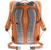 Backpack Deuter StepOut 22 Model 2023 Chestnut/ivy (3815223-9206)
