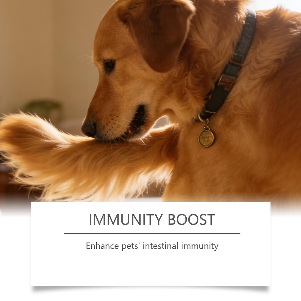 Probiotisk tarmpulver for hund