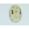 28X49X06MM Natural Montana Agate Oval Shape Cabochon Loose Gemstone 68Cts. B-297