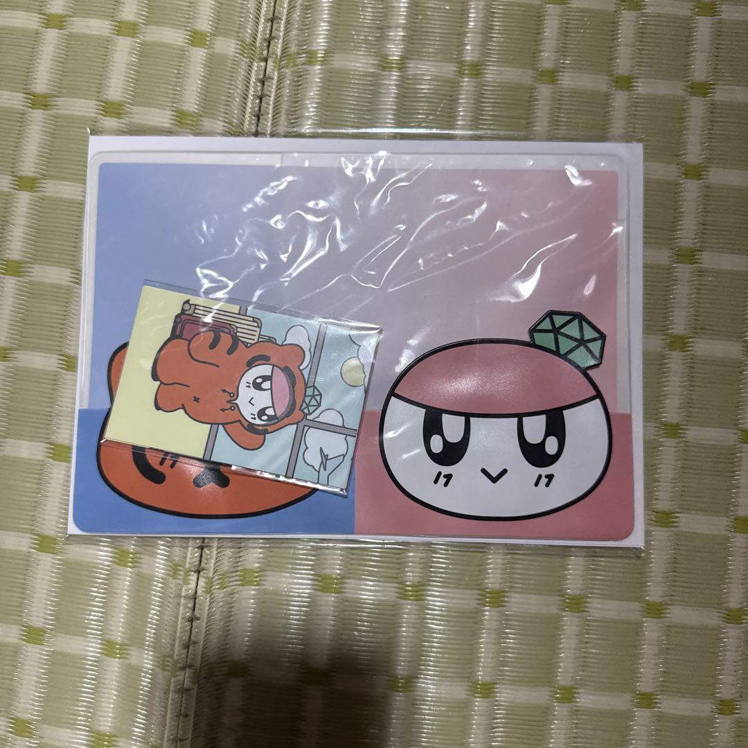 

[USED] Seventeen passport case/cover