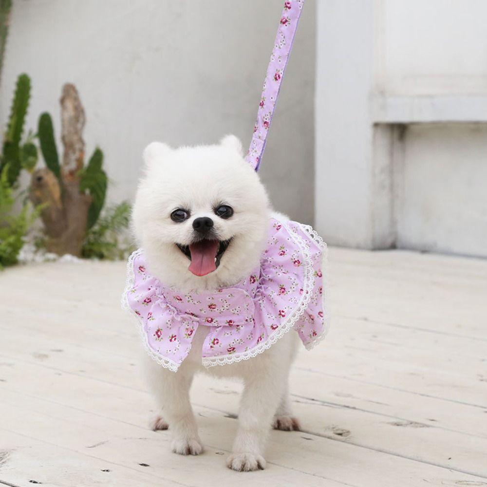 Kawaii Dog Harness Leash Set Floral Design Lace Dress Pet Vest Style Harness With Leash Adjustable Pet Chest Strap Daily Walk
