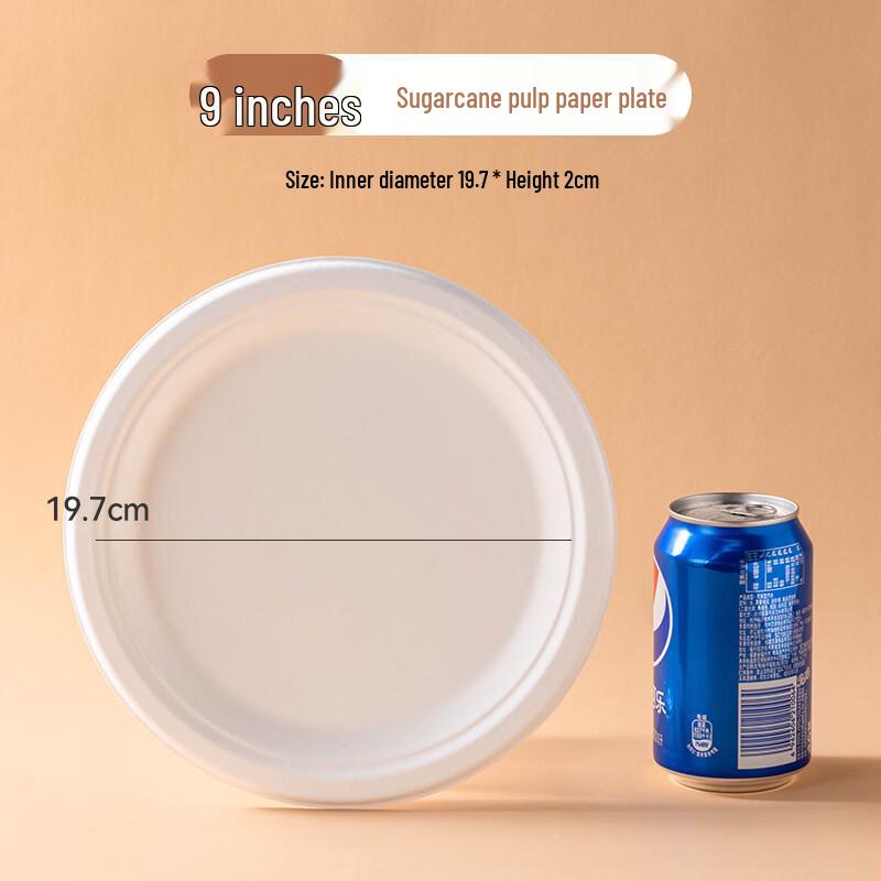 Disposable Sugarcane Pulp Plates