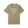 Kindness Is Free Try It T-shirt