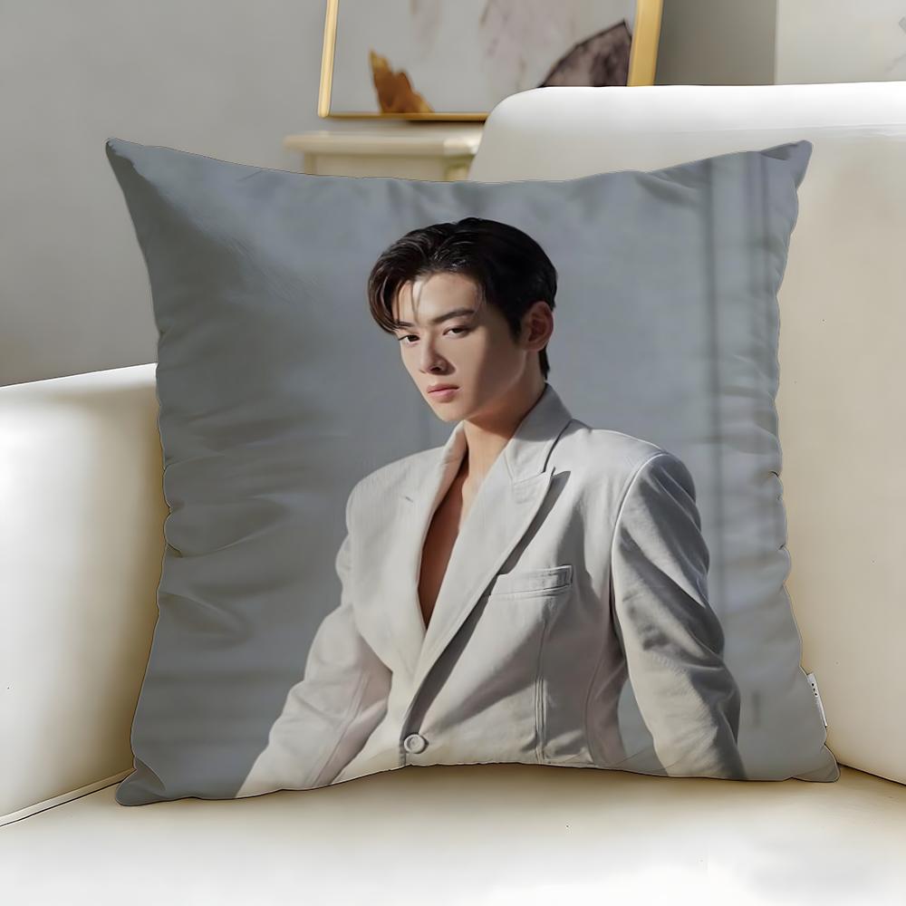 popular actor Cha Eun Woo Cushion Cover Soft  EasyWash Pillow Case  Versatile for Couch Bed Travel and Office