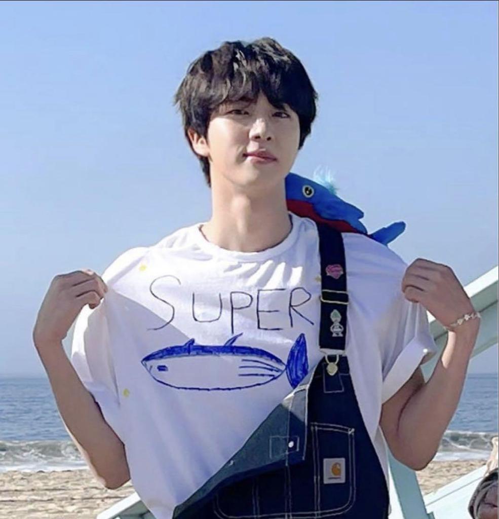 [USED] BTS Bangtan Jin wears Super Tuna T-shirt apparel Chamchi