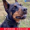 Collier Anti-Morsure Rivets pour Chien Pitbull Large Bully Robuste Fournitures pour Animaux