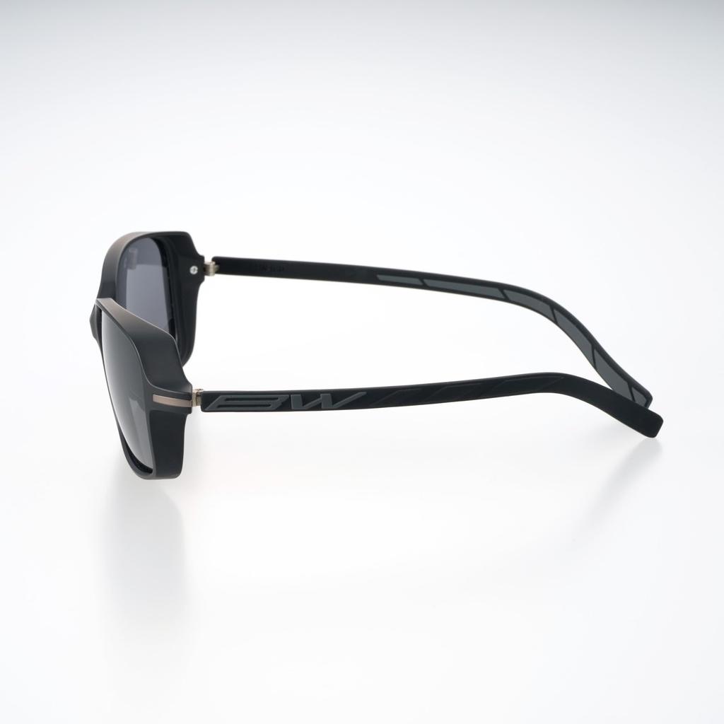 BUNNY WALK Polarized Sunglasses Matte Smoke BW-030 BW-0300F Black/Black