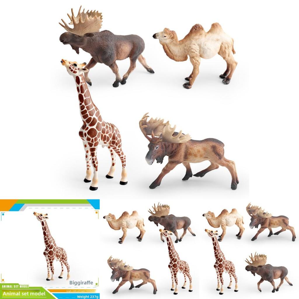 Educational Animal Models Pvc Camel Giraffe Safari Wildlife Figurines Kids Learning Nature Toys