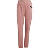 Terrex Xperior Light Hose Pants Red/brown