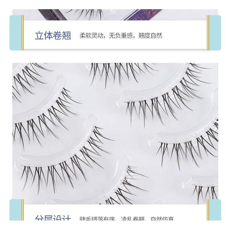 Choyu - Natural Multipack False Eyelashes