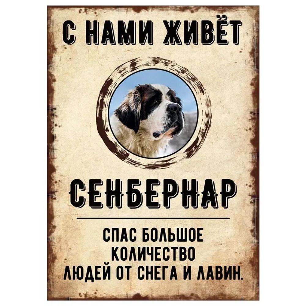 Schild, dekorativ, GEFAHR HUND, Schnauzer lebt bei uns, 20x30cm