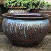 Extra Large Ceramic Succulent & Flower Pot for Trees and Plants
