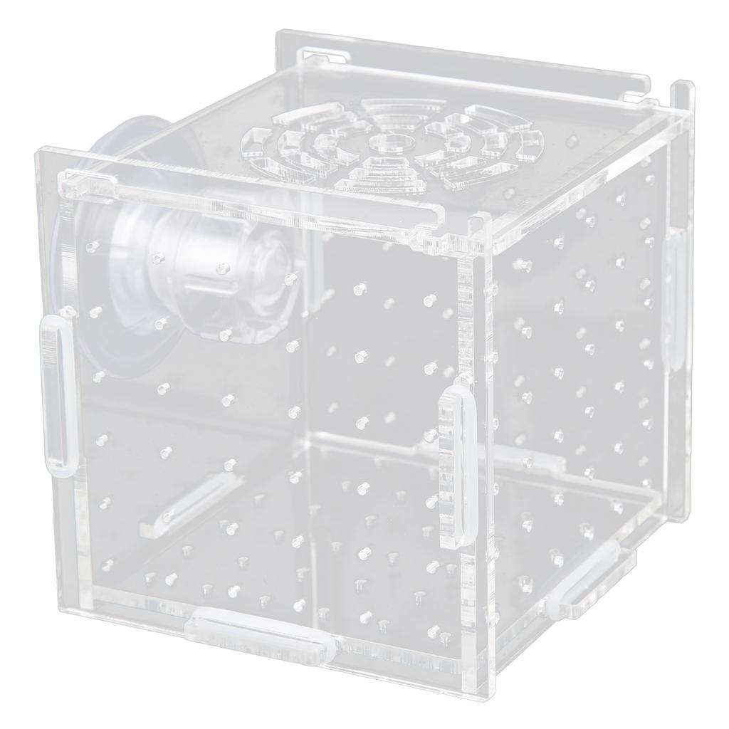 Fish Isolation Box Acrylic Fish Breeding Box Aquarium Hatchery for Baby Fishes Shrimp