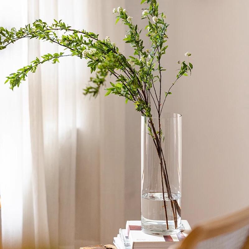 Hanwei Modern Clear Glass Flower Vase