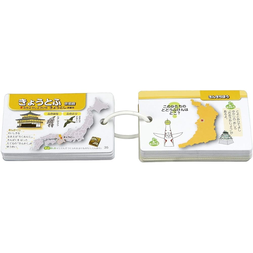 Epoch Pocket Picture Cards Toy with Ring and Transparent Cover for Ages 3 and Up