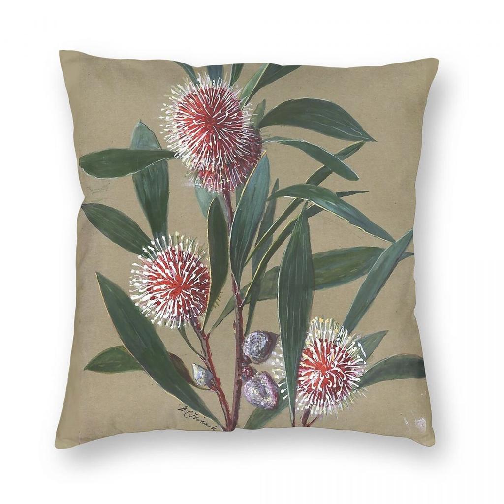 Australian Wildflower Hakea Square Pillowcase Polyester Linen Velvet Creative Zip Decor Pillow Case Sofa Cushion Cover