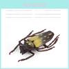 Set Jucării Educative cu Insecte cu Modele de Viespi Furnici Greieri Pentru Învățarea Științei Copiilor