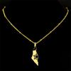Stainless Steel Israel-Palestine Map Pendant Necklace - Fashionable and Unique Design