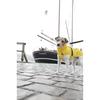 Imperméable Pour Chien - TRIXIE - Vimy - Jaune - Taille XS - Polyuréthane/Polyester