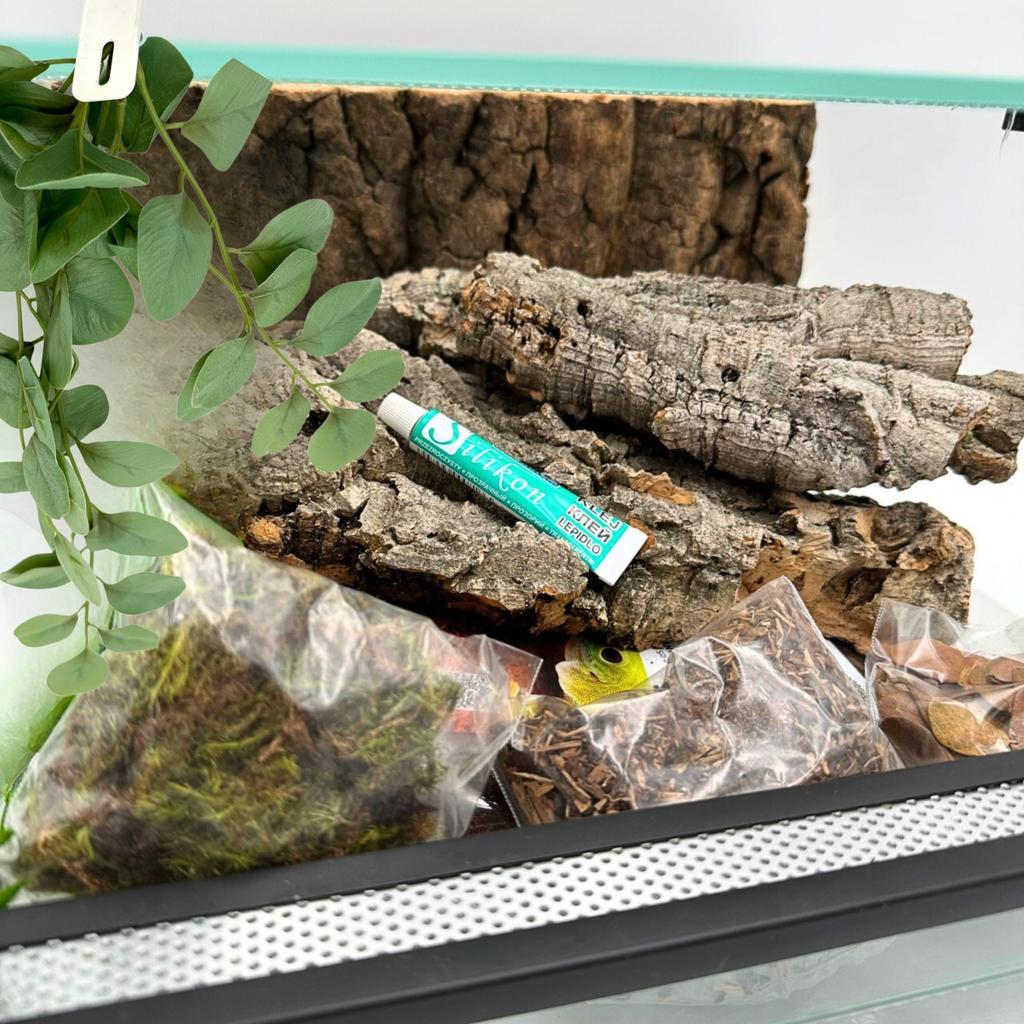 Glass Terrarium with Equipment 30x30x20cm Set for Ground Spiders