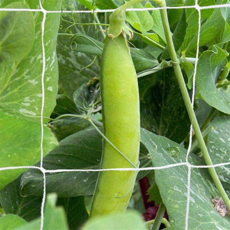 Plant Trellis Netting Heavy-Duty Plant Support Vine Climbing Hydroponics Garden Net Accessories Gardening Bracket Climbing Nets