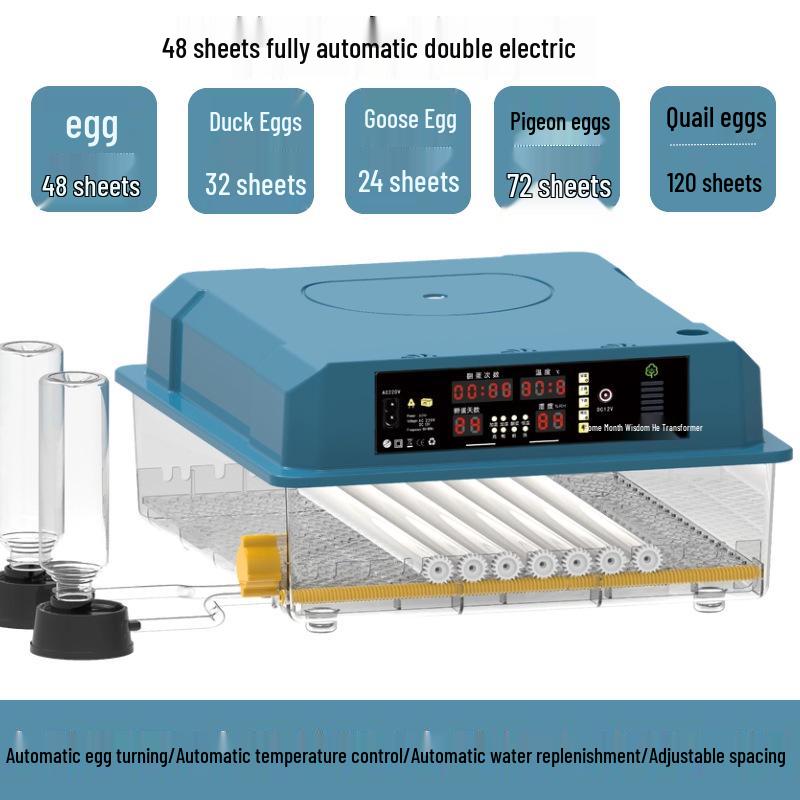 Fully Automatic Household Mini Egg Incubator with Smart Egg Turner