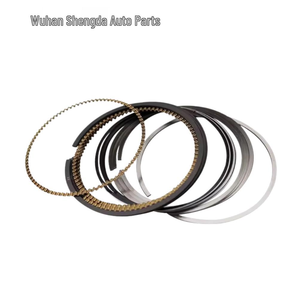 

Piston Ring for Peugeot 408/Citroen C4L 1.8 EC8 Engine sd