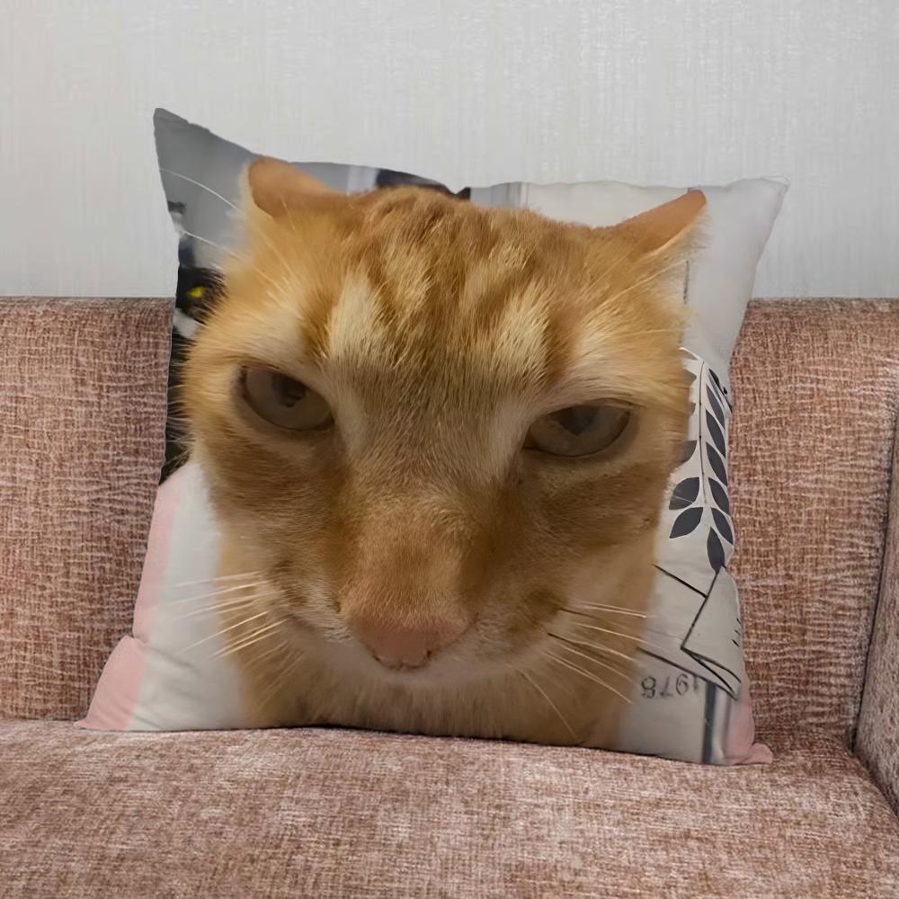 Pet Cat Funny memes Pillow Case For Home Bedroom Car Office Decoration Living Room Sofa Cushion Cover Suitable