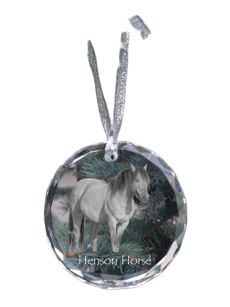 Henson Horse – Crystal bauble with a photo, horse photo in crystal | Art-Dog