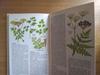 [USED] Defective Plant Encyclopedia Herbs Foreign Books HERBS Botanical Art