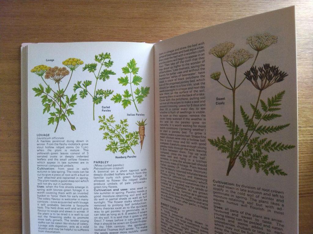 [USED] Defective Plant Encyclopedia Herbs Foreign Books HERBS Botanical Art