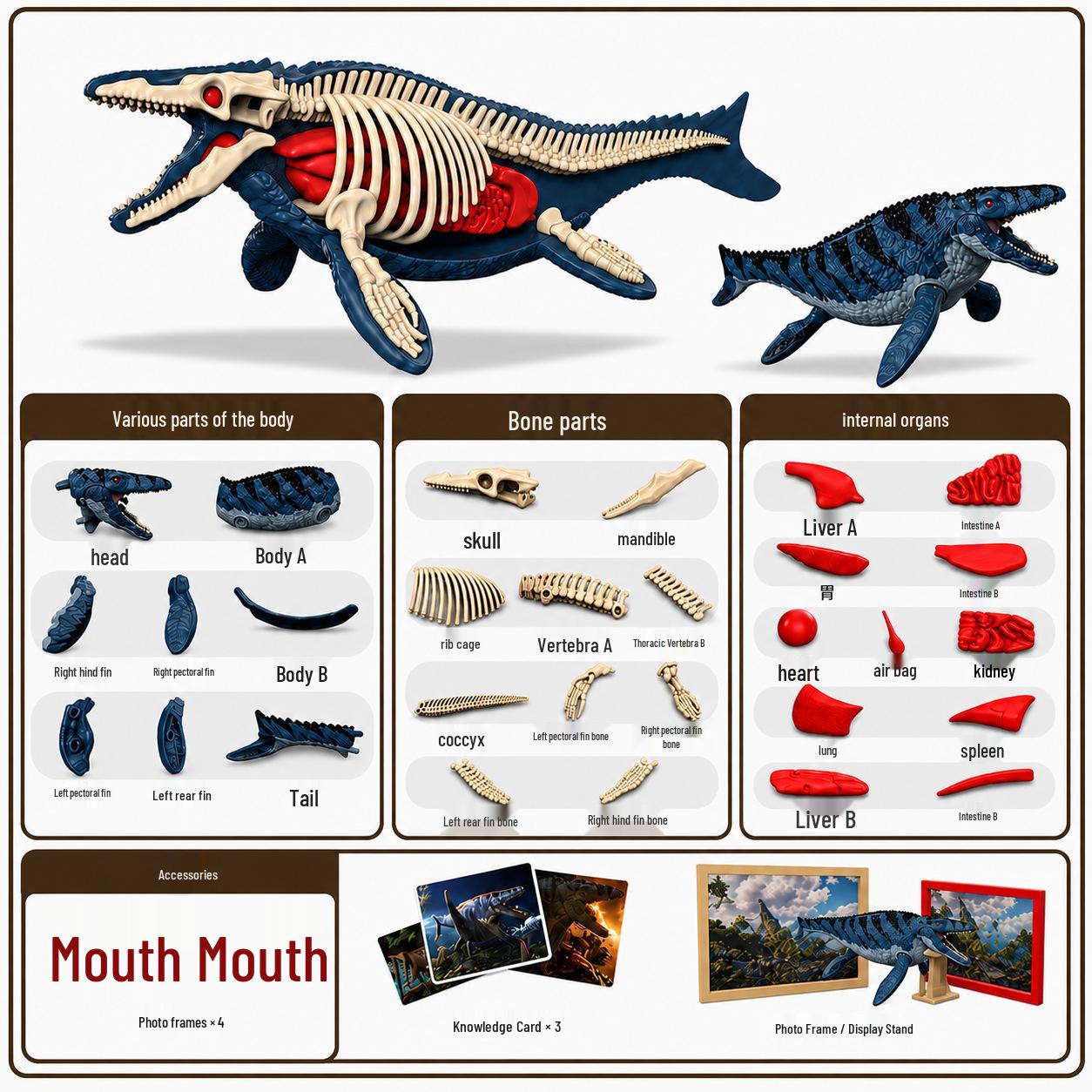 DIY 3D Dinosaur Skeleton Model: Tyrannosaurus & Triceratops