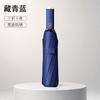 Spot wholesale automatic ten-bone umbrella vinyl sunscreen UPF11 + wind-resistant reinforcement weather and rain dual-purpose folding umbrella