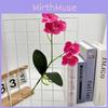 Kwiat Phalaenopsis Sztuczny Rekwizyty do Fotografii Ślubnej Dekoracje Prezent na Imprezę